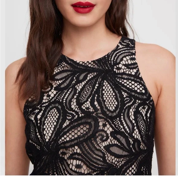 Aritzia Babaton Henry Black Mini Sleeveless Formal Evening Party Lace Dress Sz 4 - Picture 3 of 6